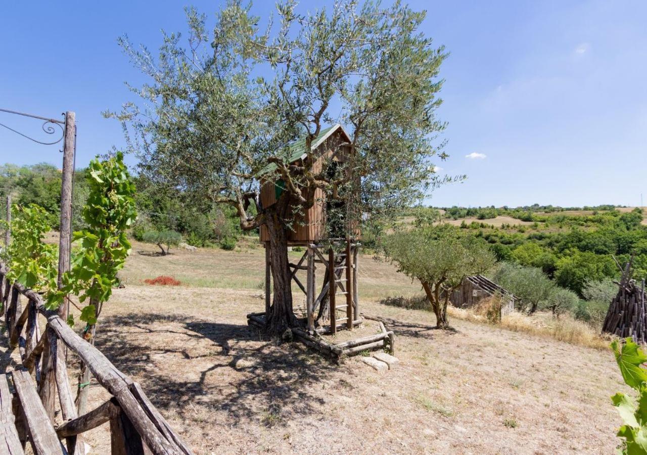 Agriturismo Torre Gialluise Gesualdo Exterior photo